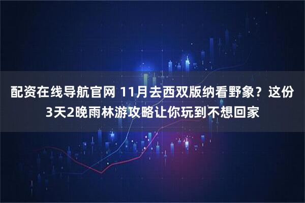 配资在线导航官网 11月去西双版纳看野象？这份3天2晚雨林游攻略让你玩到不想回家